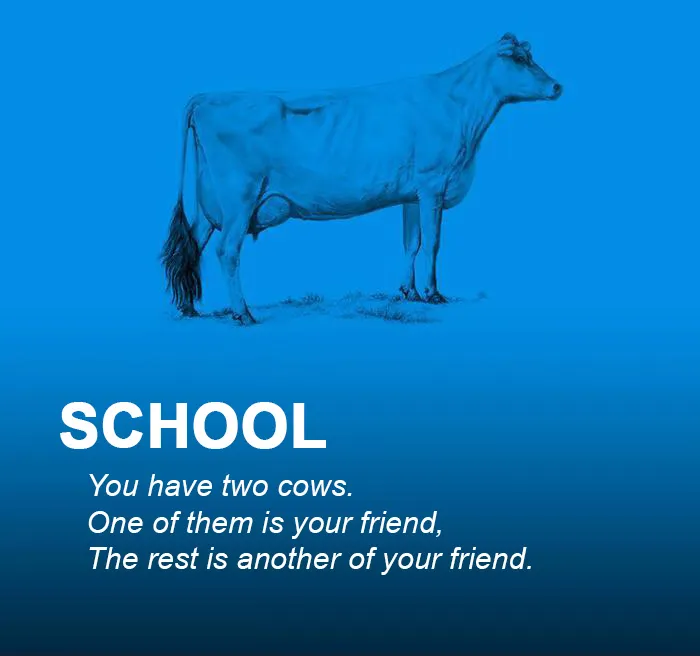 School