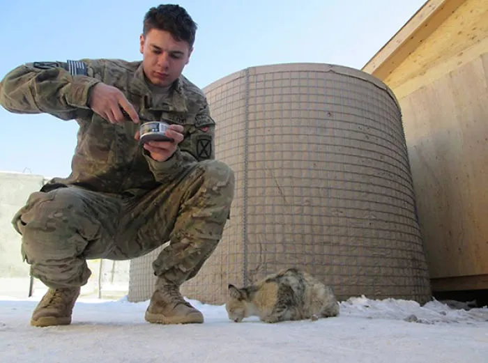 My Nephew Is Serving In Afghanistan