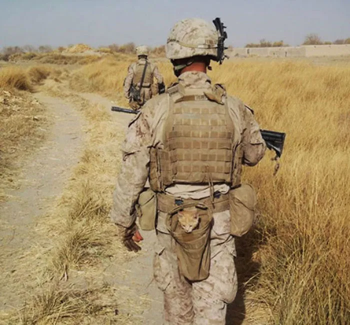 Soldier With A Kitten