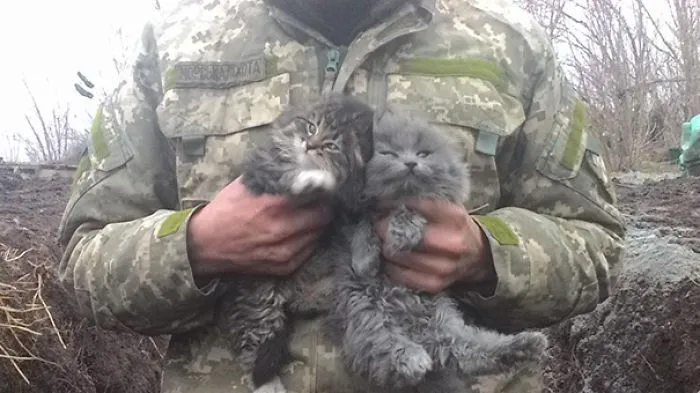 Little Cuties
