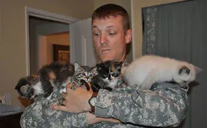 56 Soldiers And Cats Who Became Best Friends Overseas