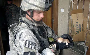 56 Soldiers And Cats Who Became Best Friends Overseas