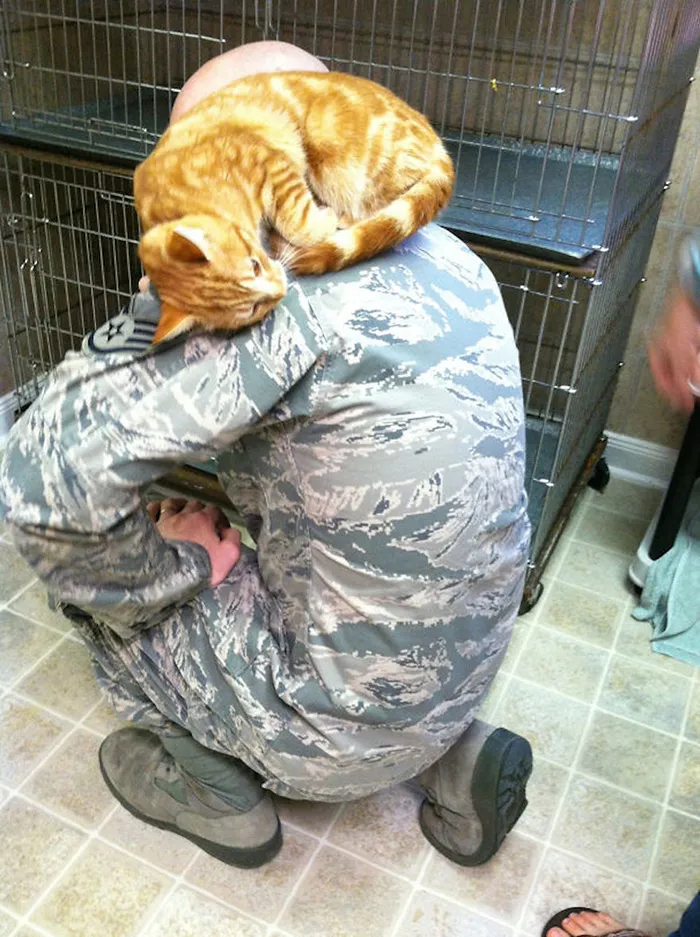 He Just Crawled Up There And Curled Up
