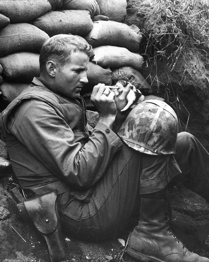 Soldier And A Cat
