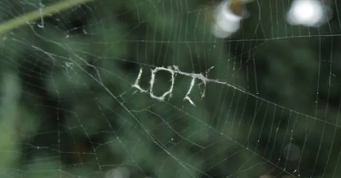 After A Rough Day, My Friend Found This Written On A Spider Web