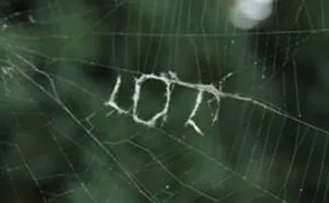 After A Rough Day, My Friend Found This Written On A Spider Web