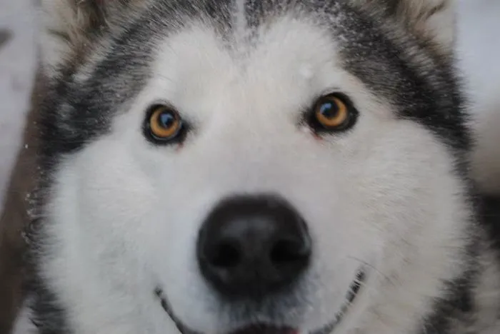 Why So Serious?! :p