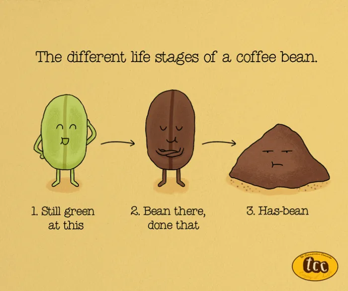 Cute Illustrations Reveal Fun Facts About Food Ingredients