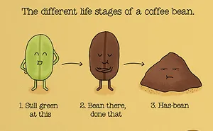 Cute Illustrations Reveal Fun Facts About Food Ingredients