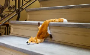 A Darkly Humorous Look At Crime Scene Photography