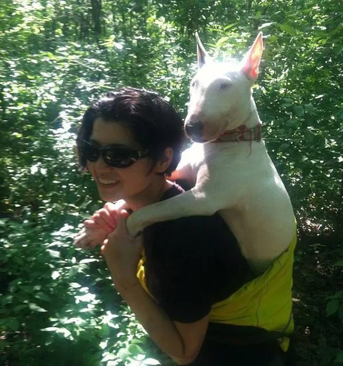 "Camping With Dogs" Instagram Will Inspire You To Go Hiking With Your Dog