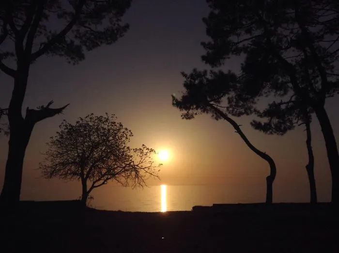 Sunsets