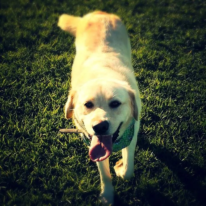 Smiley Missy!