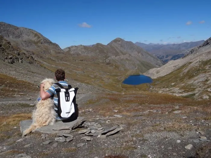 "Camping With Dogs" Instagram Will Inspire You To Go Hiking With Your Dog
