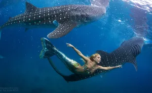 A Real-Life Mermaid Who Swims With Sharks Using Her Fish Tail And Holds Breath For 2 Minutes