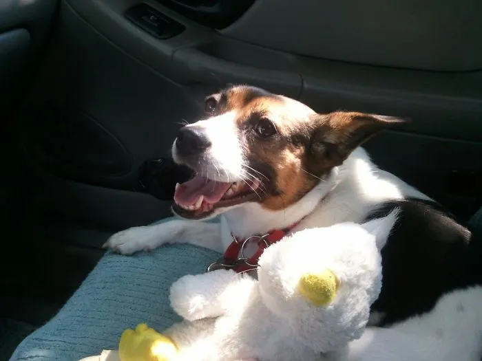 Ruby Loves Her Baby