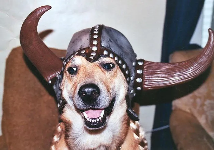 Scully Smiling On Halloween :)