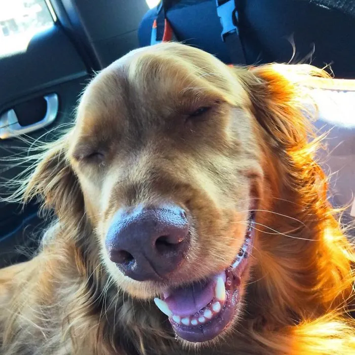 I Lub Road Trips...