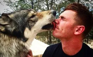 I Discovered My Inner Wolf At Wolf Mountain, California