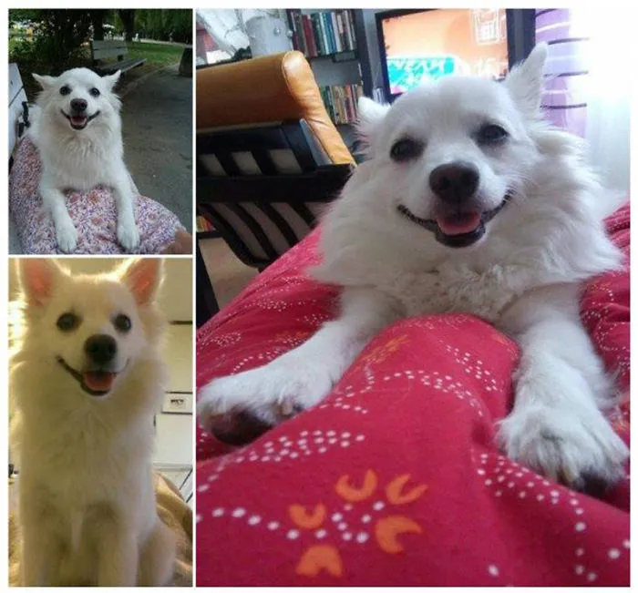 I'm A Happy White Princess!