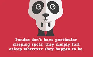 15 Amazing Facts You Didn't Know About Animals