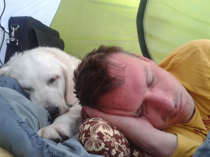 "Camping With Dogs" Instagram Will Inspire You To Go Hiking With Your Dog