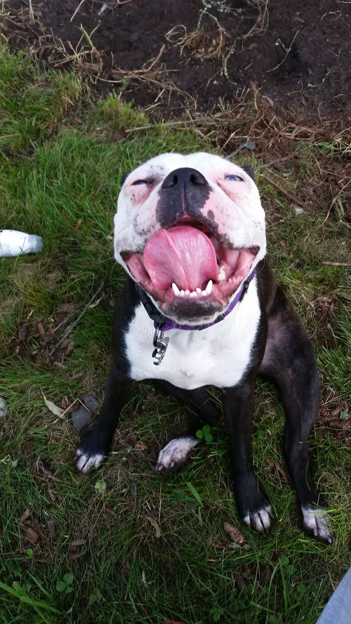 Stella!!!