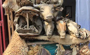 I Visited The Voodoo Market In Benin.