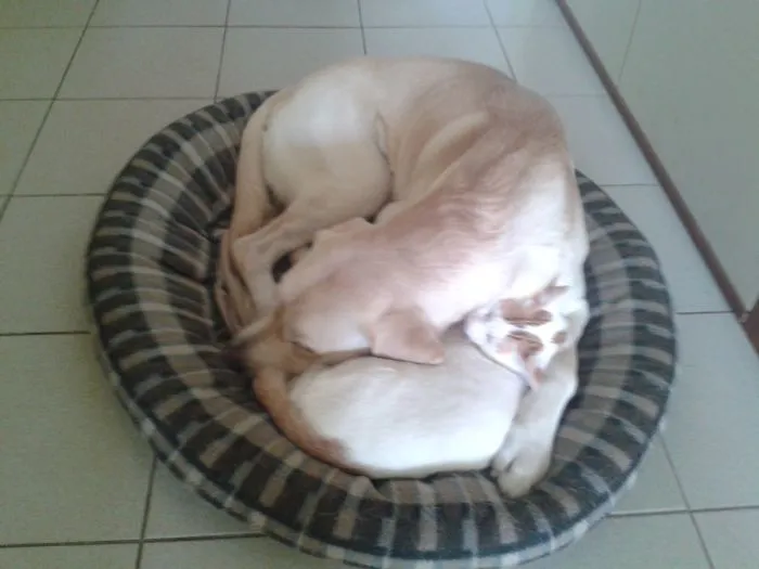 Cuteness Overload