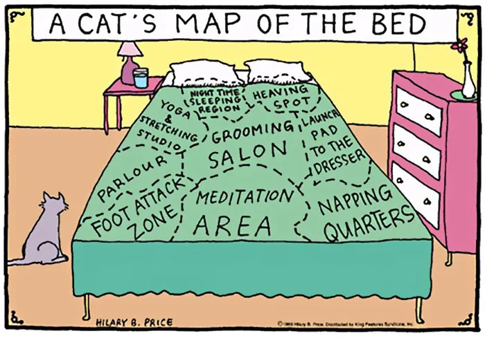 58 Funny Comics Reveal The Reality Of Owning A Cat