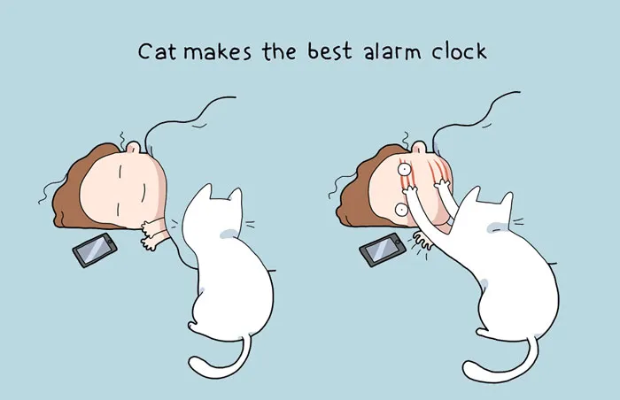 58 Funny Comics Reveal The Reality Of Owning A Cat