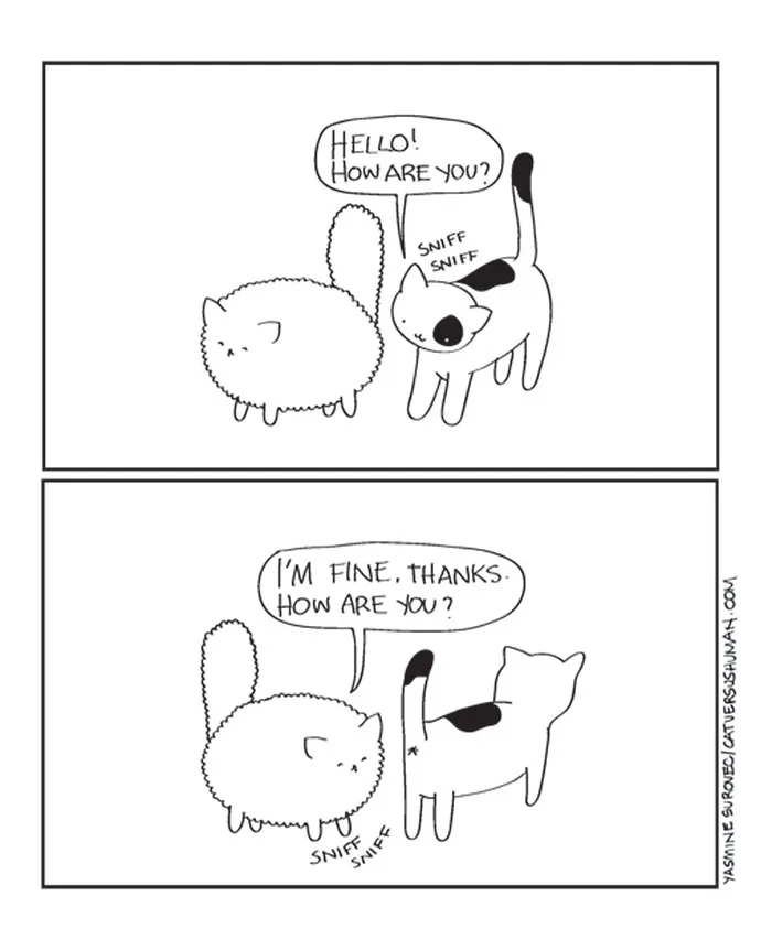 58 Funny Comics Reveal The Reality Of Owning A Cat