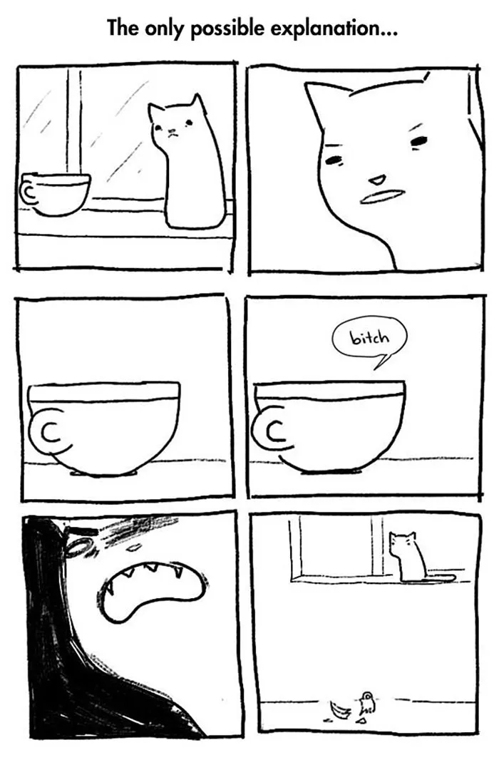 58 Funny Comics Reveal The Reality Of Owning A Cat
