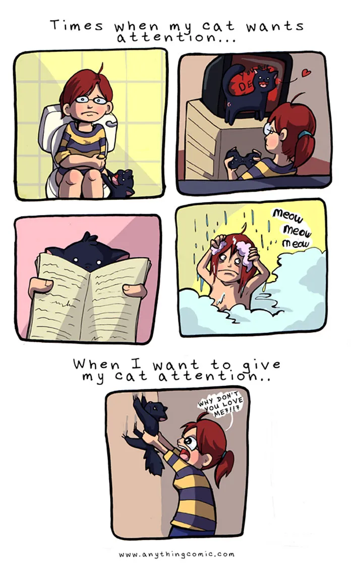 58 Funny Comics Reveal The Reality Of Owning A Cat
