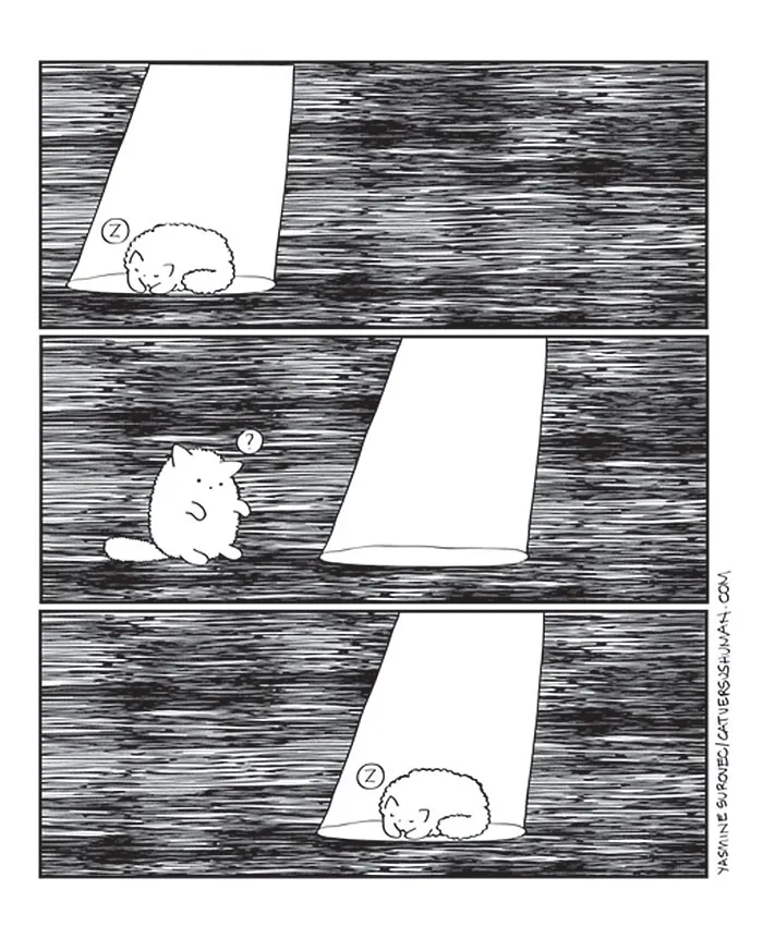 58 Funny Comics Reveal The Reality Of Owning A Cat