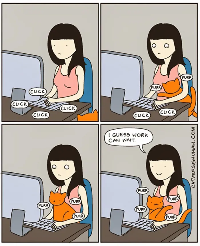 58 Funny Comics Reveal The Reality Of Owning A Cat