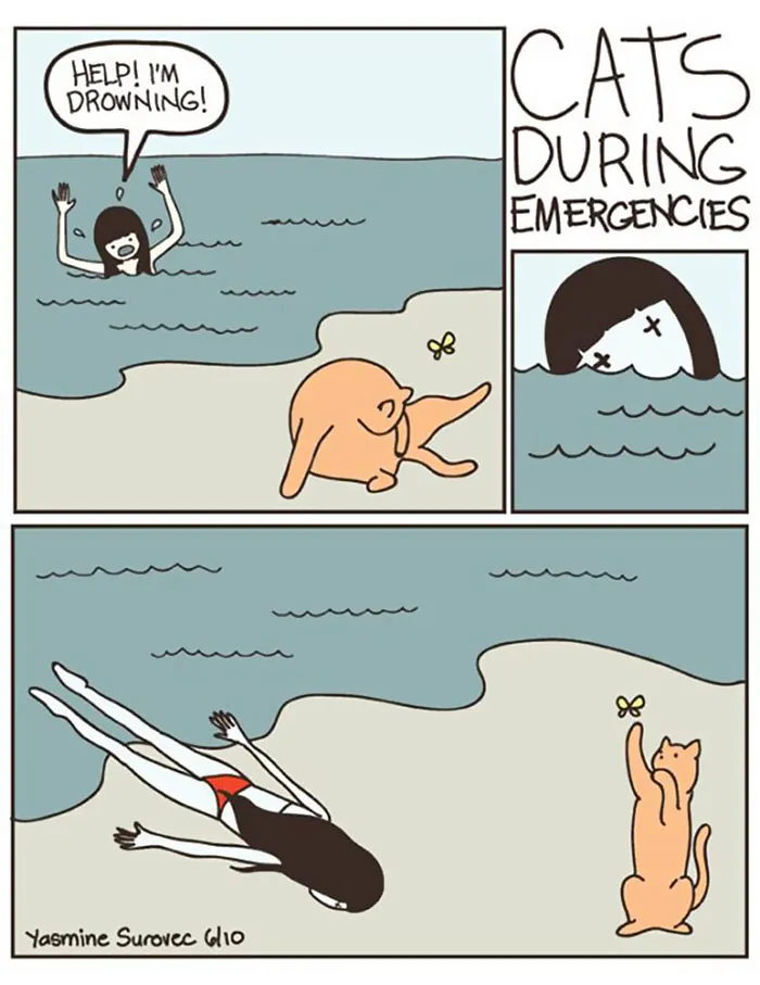 58 Funny Comics Reveal The Reality Of Owning A Cat