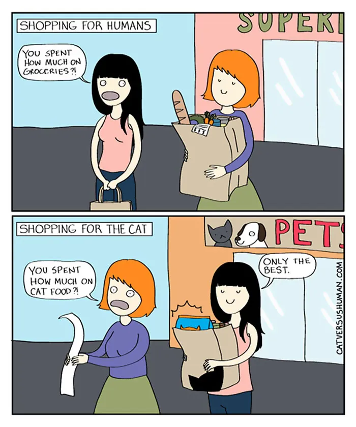 58 Funny Comics Reveal The Reality Of Owning A Cat