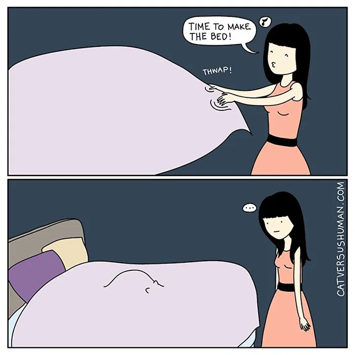 58 Funny Comics Reveal The Reality Of Owning A Cat