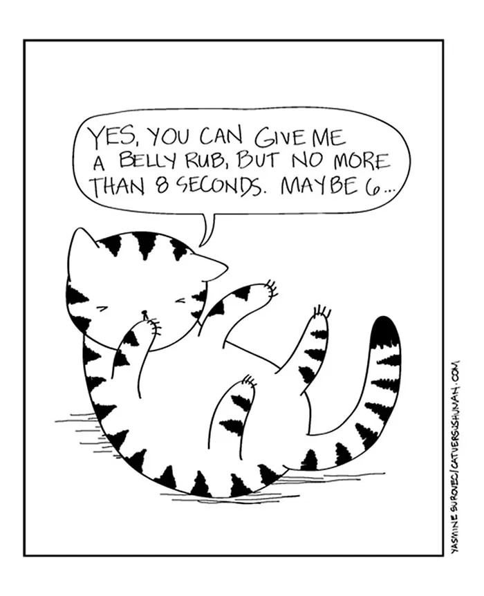 58 Funny Comics Reveal The Reality Of Owning A Cat
