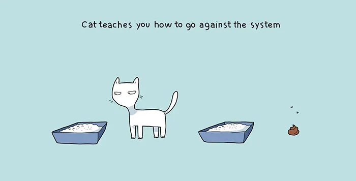 The Reality Of Owning A Cat