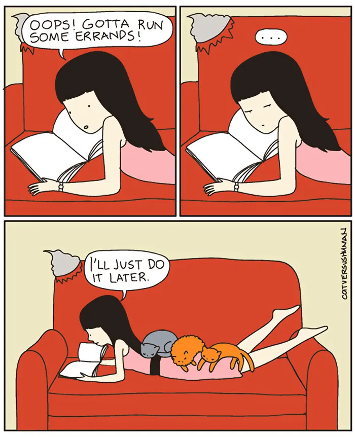 58 Funny Comics Reveal The Reality Of Owning A Cat