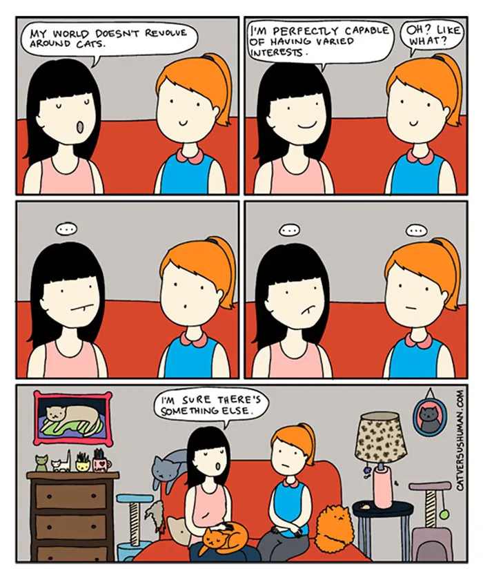 58 Funny Comics Reveal The Reality Of Owning A Cat