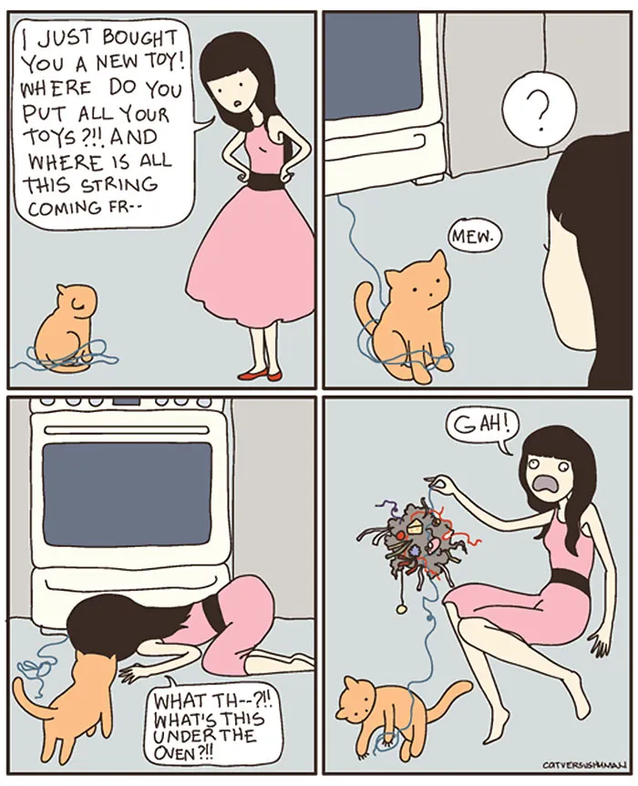 58 Funny Comics Reveal The Reality Of Owning A Cat