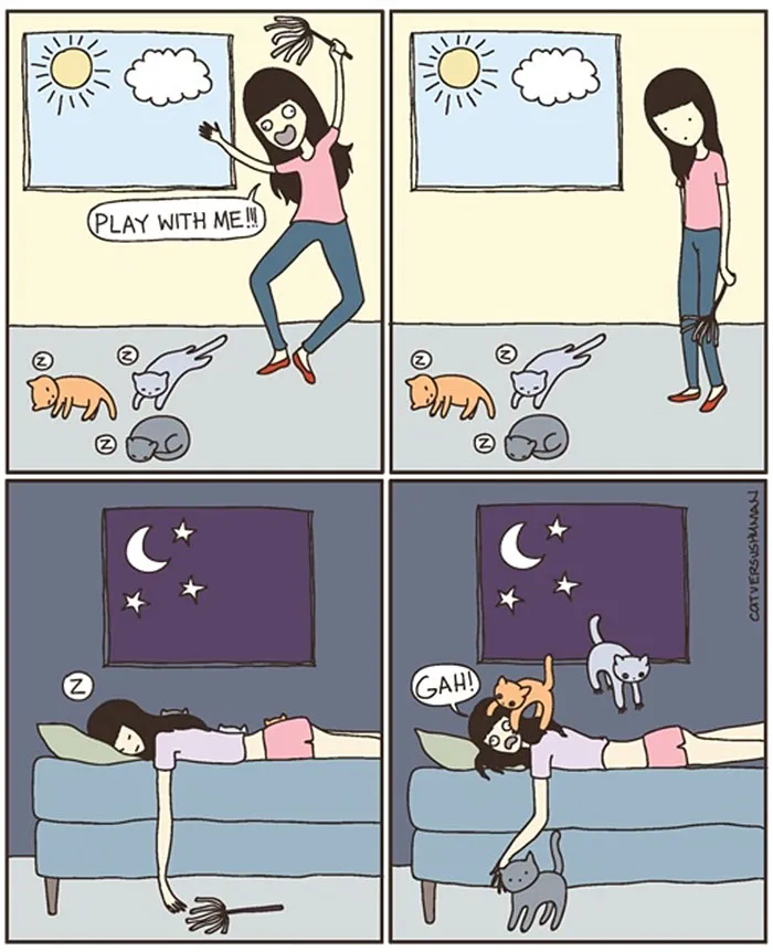 58 Funny Comics Reveal The Reality Of Owning A Cat