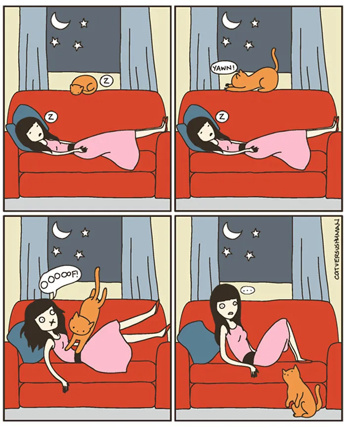 58 Funny Comics Reveal The Reality Of Owning A Cat