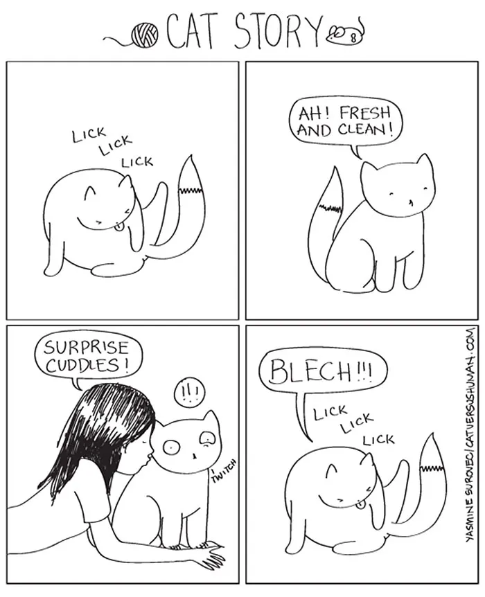 58 Funny Comics Reveal The Reality Of Owning A Cat