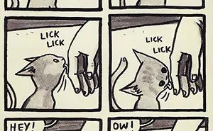 58 Funny Comics Reveal The Reality Of Owning A Cat