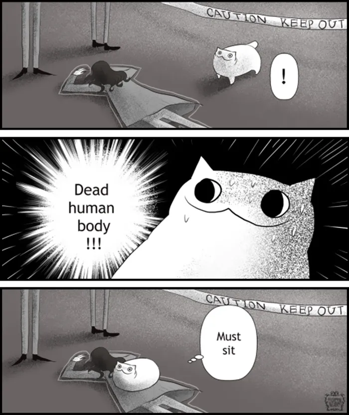 58 Funny Comics Reveal The Reality Of Owning A Cat
