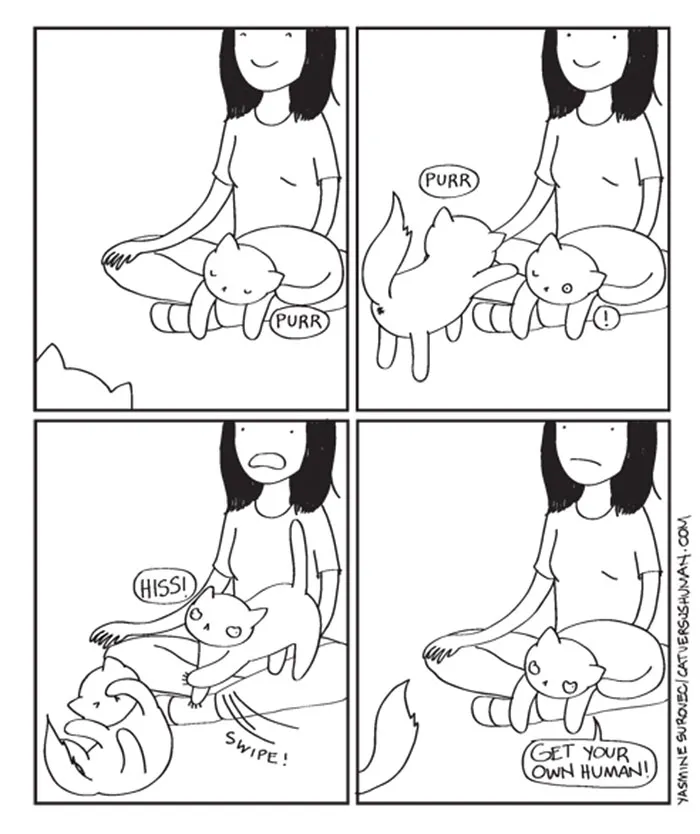 58 Funny Comics Reveal The Reality Of Owning A Cat